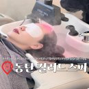 (주) 화성스파 | 동탄 1인 미용실 [컬러드스파] 프루스트 헤드스파 두피 마사지 후기