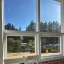 호근서호로 | 🍊 [제주 서귀포 카페] 제주에인감귤밭 솔직 후기｜귤따기 체험 가능한 감성 카페