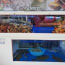 쭈니sea