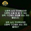 워시엔조이셀프빨래방도봉 - 도봉구 도봉로145길 55 | 워시엔조이셀프빨래방도봉