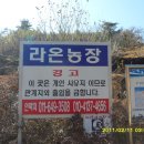 송계농장 Daum카페