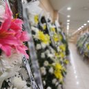 성남중앙병원 이미지