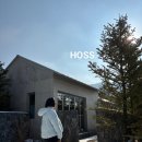 취호가 | 강원도 평창 감성숙소 펜션 취호가 입실 퇴실 시간 조식 전복죽 후기