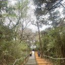 삼정약수터 이미지