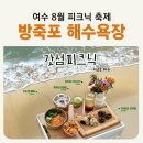 몽이네쉼터 | [공지] 전남 여수 여름 8월 바다 축제 방죽포 해수욕장 먹거리 소풍 [갓섬 피크닉 시즌2] 탐구생활...