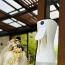 풀향기머무는집 | 자연의 향으로 채우는 '라운드어라운드 룸스프레이 필로우미스트 &amp; 편백 클린 스프레이'로 꿀잠자요