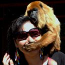 신선골프클럽 이미지