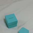 주식회사 와이드 앤 코 | [반지] 티파니 티트루 와이드링 화이트골드 (62509252) : 티파니앤코 네로우 비교, 사이즈 실착 후기