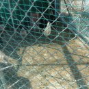 강정골가든 이미지