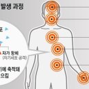 피지에이 이미지