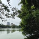 레몬비래미안자이점 | 하노이 4박 5일 여행 [2일차]｜호안끼엠호수 러닝, 미스터버이 반쎄오, 하노이 기찻길, 풍향고 치즈...