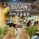 수능엄사 옆 | 부산 명지 실내동물원 라라쥬 카페 데이트 알차게 즐기는 법
