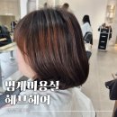 YH프라자 | 범계미용실 헤브헤어범계점에서 박연화디자이너 재생클리닉 받고 머릿결관리