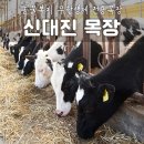 대진목장 이미지