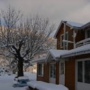 새이모퉁이 이미지