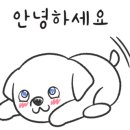 거인공인중개사사무소 이미지