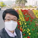 벚꽃공인중개사사무소 이미지