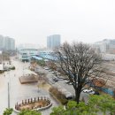 수색동 380-1 이미지