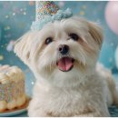 퍼스트동물병원 이미지