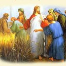 2011년 9월 3일 토요일 [(백) 성 대 그레고리오 교황 학자 기념일] 이미지