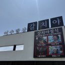 달달하니 | 여수 갈치조림 맛집 갈치야 내돈내산 후기｜갈치구이까지 나오는 한상 정식