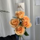 (주)녹지원 이미지