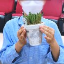 꿈꾸는푸른도서관 이미지