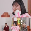 성지애견 이미지