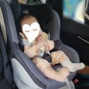 세탁잘하는집 | 대구 카시트세탁 잘하는 곳 / 대구온리베이비 만족한 이용 후기