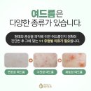 퓨어스의원 이미지