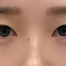 삼계 속눈썹 시그널브로우