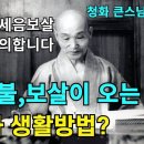 임종 때에 불보살이 마중오는 염불공부와 생활방법(천무일실) 이미지