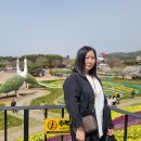 안면도덤앤더머 이미지