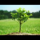 친환경태양목장 이미지