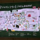 엘가플라워갤러리