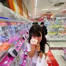 뽑기랜드 이미지