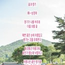 꽃과향기