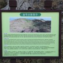 살랑제주 이미지