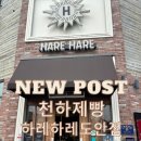 원도안로-4 | [대전 맛집] 천하제빵 출연! '이경민-대전 또 갈 집' 명장의 맛, ‘하레하레 도안점’ 내돈내산 후기