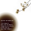 신관초교 Daum카페