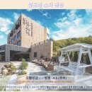 뷰포레스파펜션 | 여수 뷰포레 스파 펜션 솔직 후기! 인생 노을 뷰에 감동!