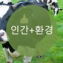 서진이엔지