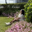 봄·여름·가을 코스 | 샤스타데이지 가득한 오션뷰 카페, 울산 슬도 ‘봄여름가을’ 후기