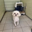 GS25두호타운 이미지