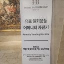 The Pet | 인터불고 호텔 원주 THE PET 펫룸 후기
