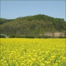 군포-산본-2007 티스토리