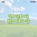 철쭉피는황매골마을 | 황매산에서 즐기는 농촌체험 산청 철쭉피는황매골마을