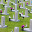 국군대전한의원 이미지