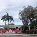 씨월드 피시 이미지