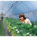 소란농장 이미지